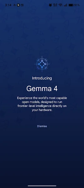 AI Edge Gallery APK settings and model management screen